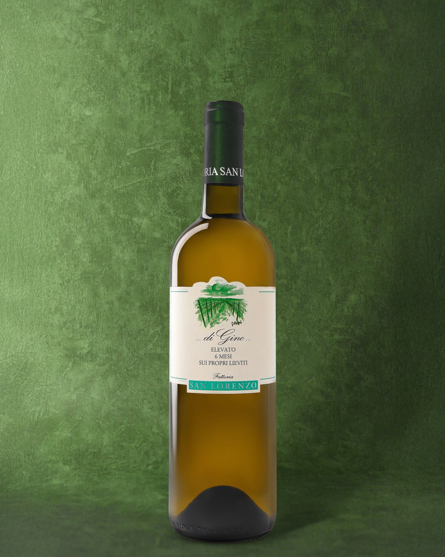 Fattoria San Lorenzo, di Gino 2024