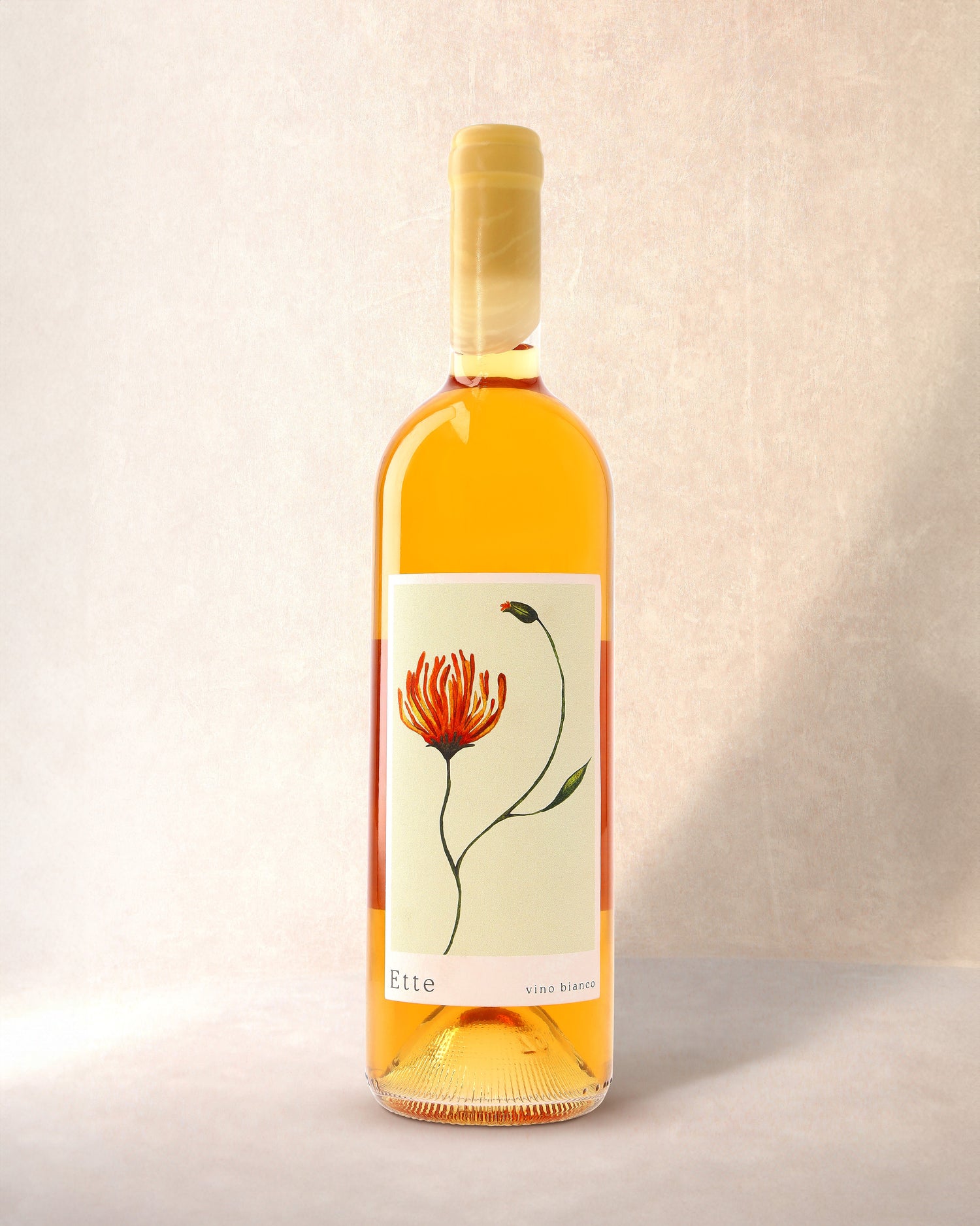 Summer Wolf, Ette 2023