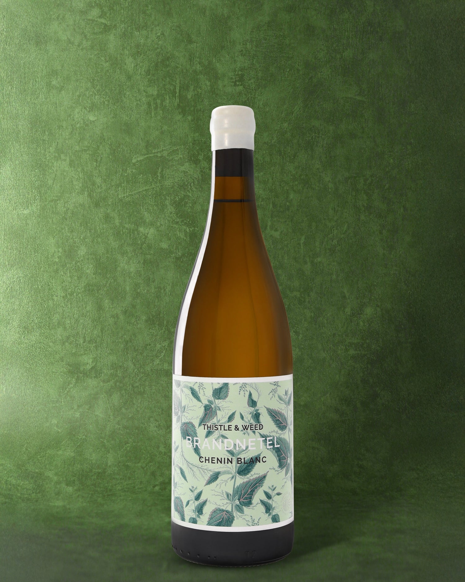 Thistle & Weed, Brandnetel 2024