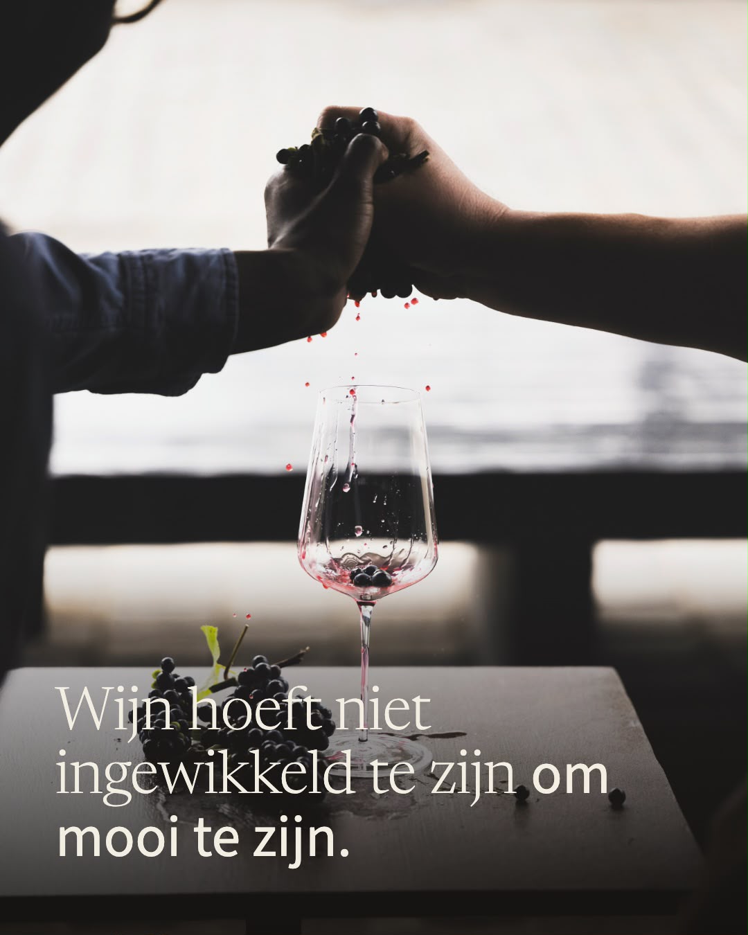 Wijn hoeft niet ingewikkeld te zijn om mooi te zijn